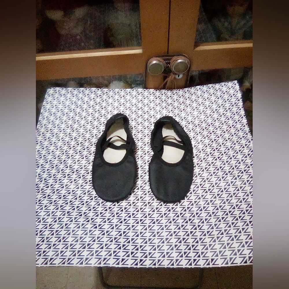 Leather Stelle Ballet Shoes
